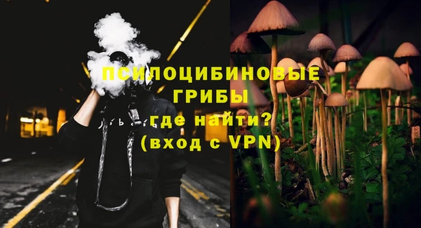 мдпв Алексин