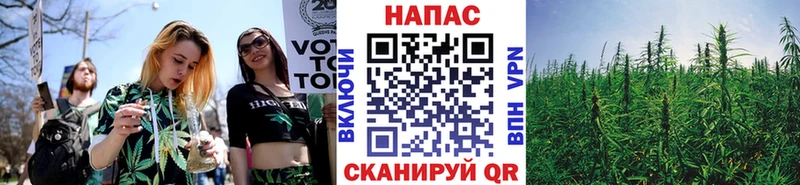 Каннабис тримм  Купить закладки  Елизово 